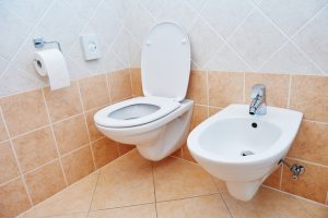 Why You Should Have a Wall-Hung Toilet Installed