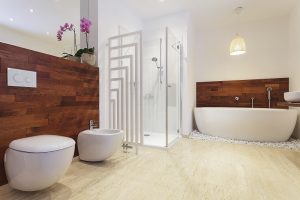 Bathroom Myths: Learning More About Bidets 